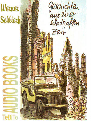 cover image of Geschichten aus einer schadhaften Zeit